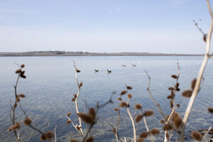 There were two reported cases in 2023 of harmful algal blooms reported in Onondaga Lake. The HABMAP Act would establish a centralized system for reporting potential and known cases.