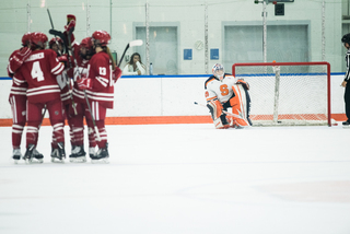 The Badgers celebrate after a goal.